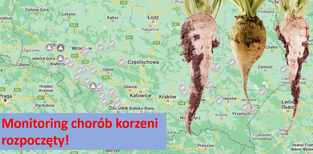 Monitoring chorób korzeni