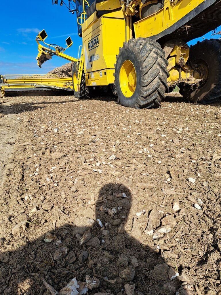 Zagospodarowanie miejsca i resztek po pryzmie.