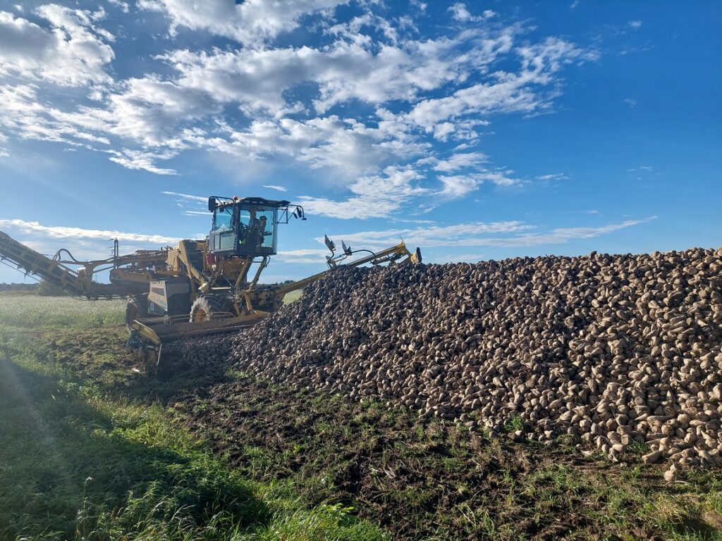 Prawidłowa lokalizacja pryzm