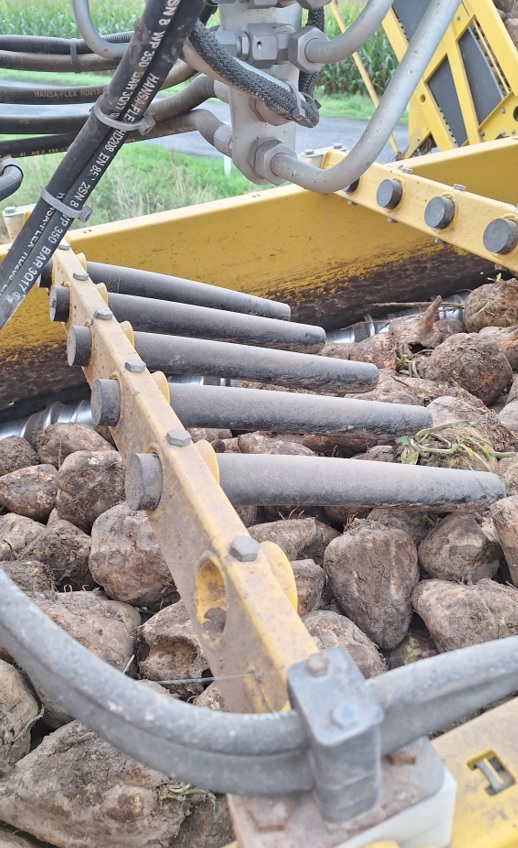 Czystość surowca – jak ograniczyć zanieczyszczenia podczas zbioru i załadunku buraków?