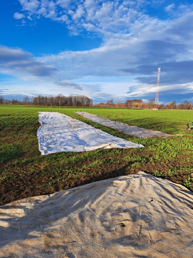 Ocena stanu włókniny