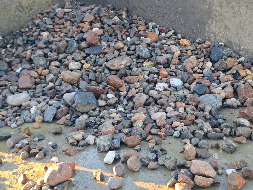 Kamienie – trudny, nieodzowny partner uprawy buraka cukrowego