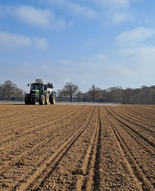 Herbicydowy zabieg „zerowy” w uprawie buraka cukrowego