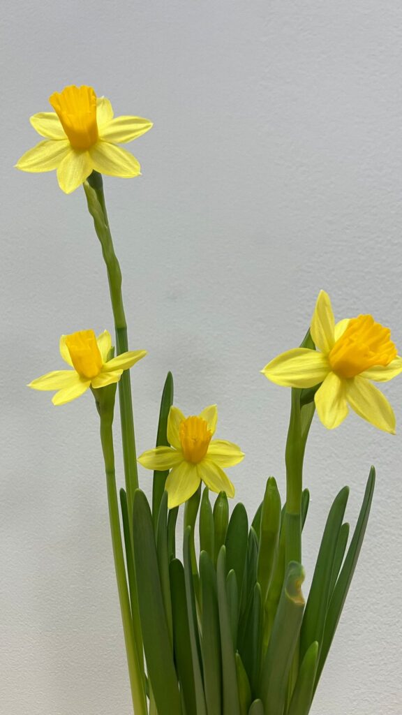 Wesołych Świąt Wielkanocnych!